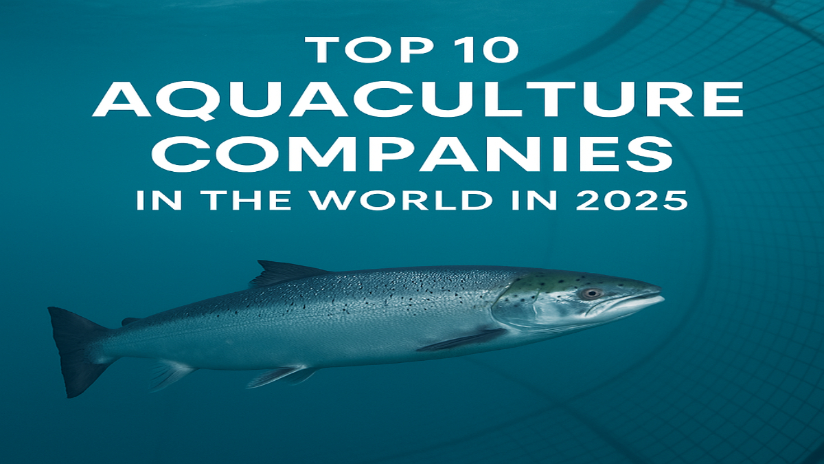 Top 10 Aquaculture Companies in the World in 2025: Leaders in Sustainable Seafood Production