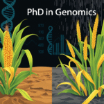 Fully Funded PhD Opportunity in Genomic Vulnerability and Climate Resilience | Université Paris-Saclay, France