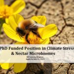 Fully Funded PhD in Climate Change, Nectar Microbiomes & Pollinator Ecology – KU Leuven, Belgium