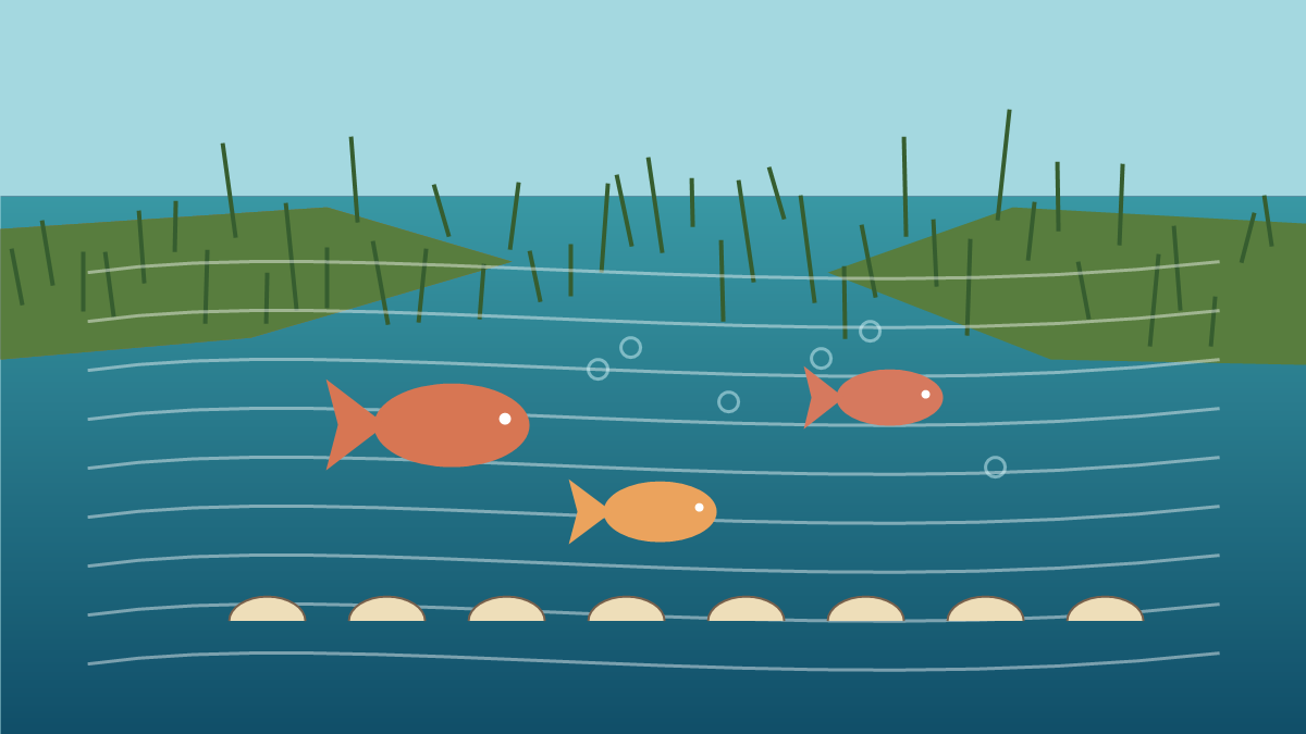 Fully Funded PhD in Regenerative Aquaculture at INRAE France
