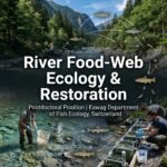Postdoctoral Position in River Food-Web Ecology & Fish Habitat Restoration at Eawag, Switzerland