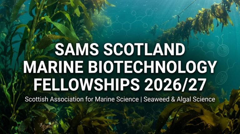 SAMS Scotland Marine Biotechnology & Seaweed Aquaculture Fellowships 2026/27