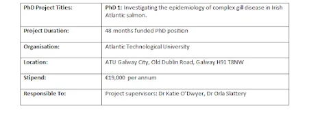 Two Fisheries PhD Postgraduate Research Opportunities