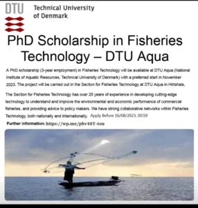 Ph.D Fellowship  in Fisheries Technology – DTU Aqua at Technical University of Denmark