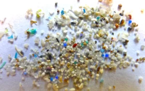 Understanding the Impact of Microplastic Pollution on Aquatic Biodiversity