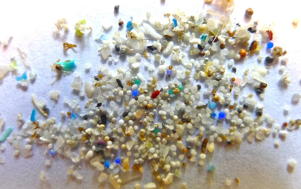 Understanding the Impact of Microplastic Pollution on Aquatic Biodiversity