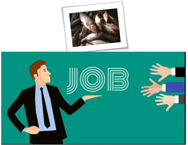 Scientist Position in Fish Feeds & Nutrition