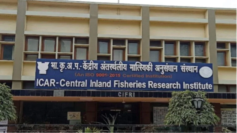 ICAR-CIFRI Recruitment 2025: Apply for Young Professional-II Posts in Fish Health Project