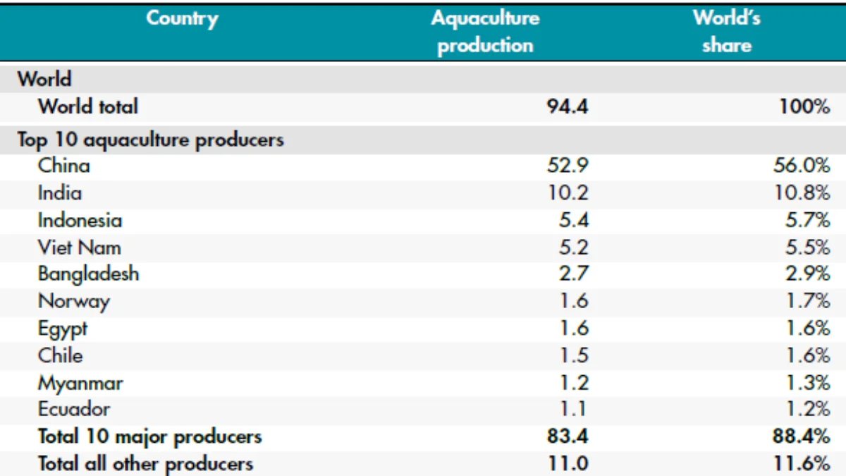 Top 10 Fish Producing Countries in 2025: Global Production & FAO Insights