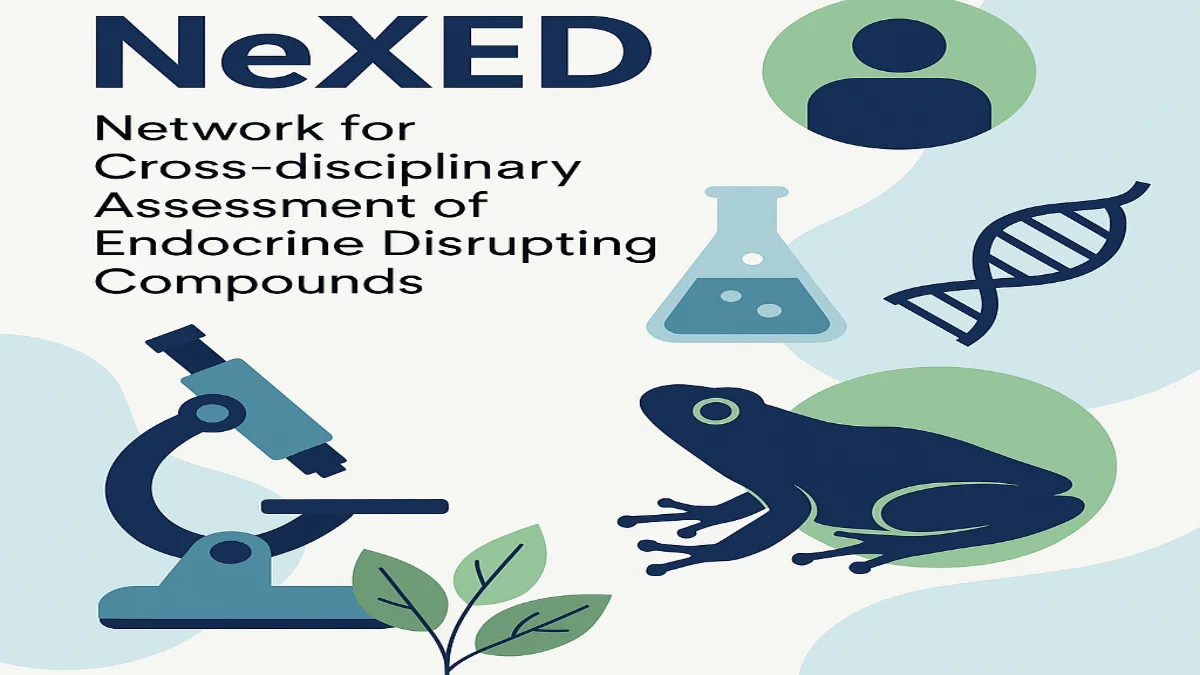 NeXED: Advancing Cross-Disciplinary Assessment of Endocrine Disrupting Compounds